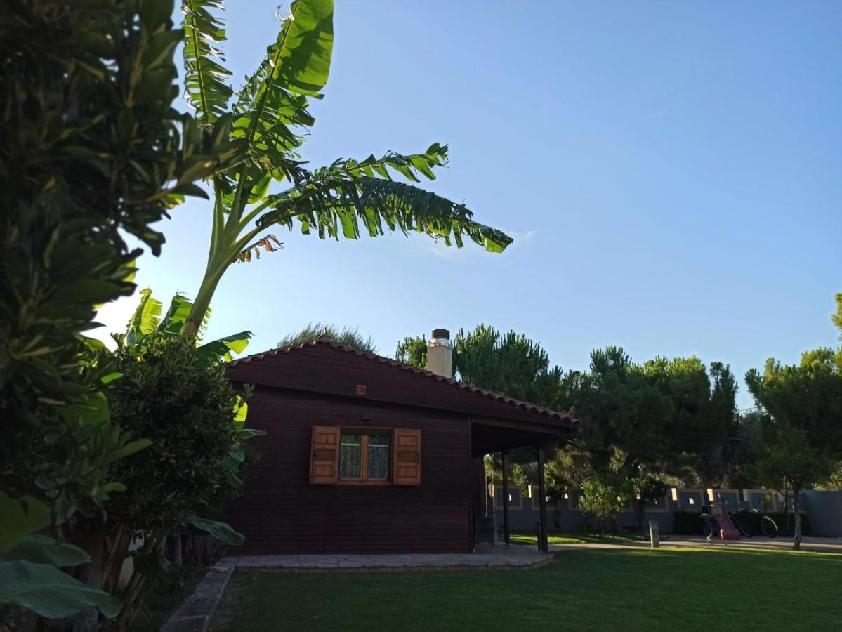 Aliki Guest House Aigio Dış mekan fotoğraf