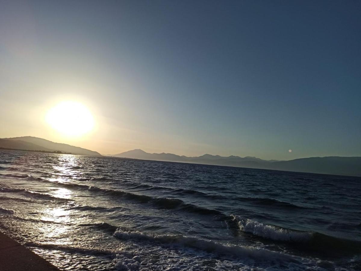 Aliki Guest House Aigio Dış mekan fotoğraf